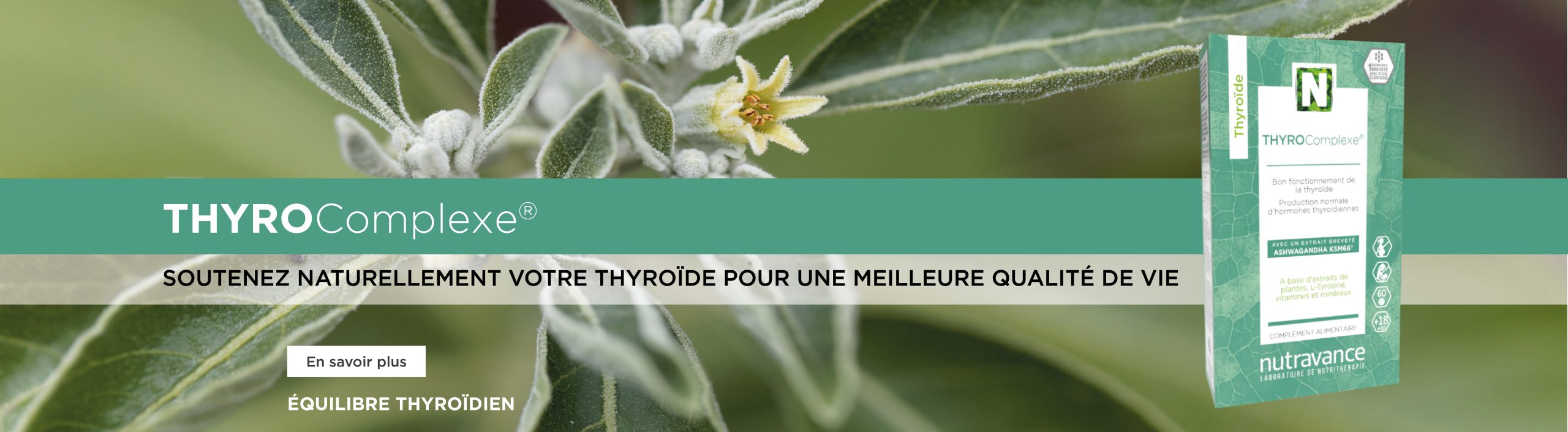 Une nouvelle formule de vitamine C liposoluble brevetée 